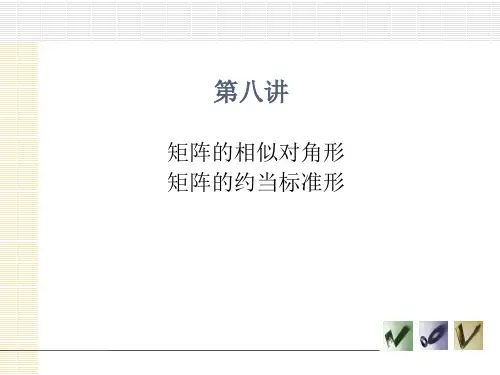 矩阵论-第八讲