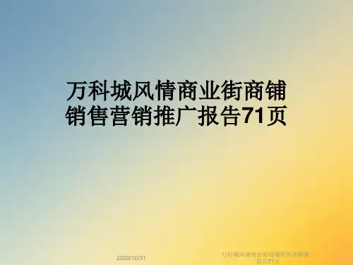 万科城风情商业街商铺销售营销推广报告71页