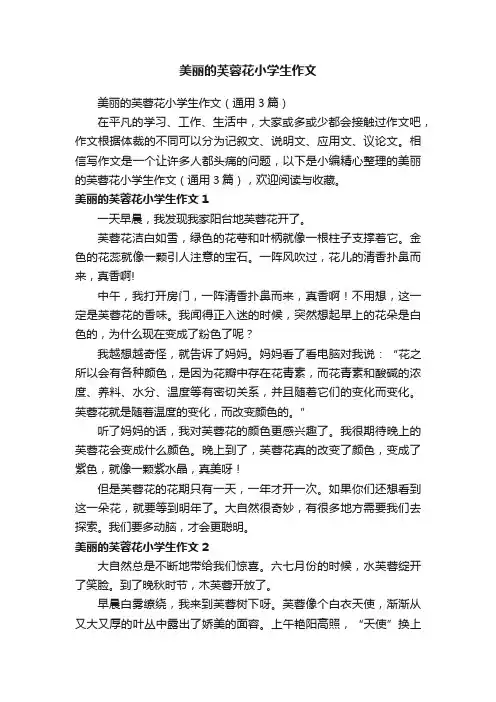 美丽的芙蓉花小学生作文