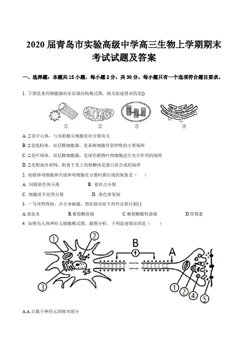 2020届青岛市实验高级中学高三生物上学期期末考试试题及答案