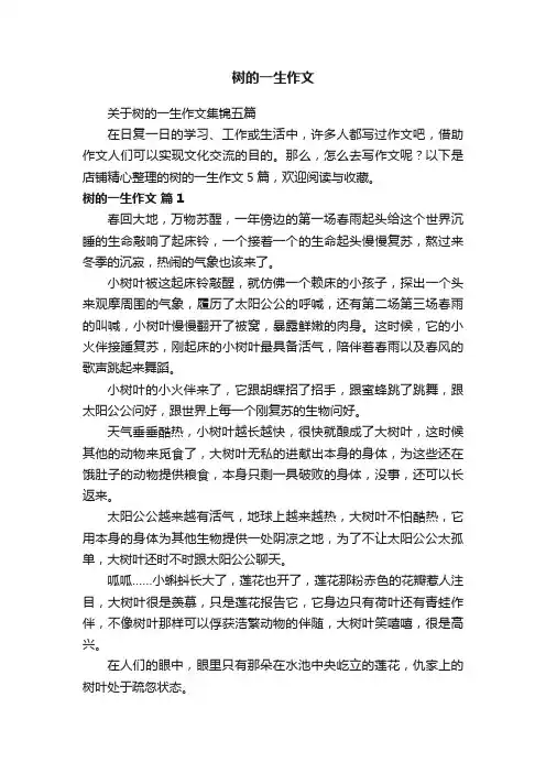 树的一生作文