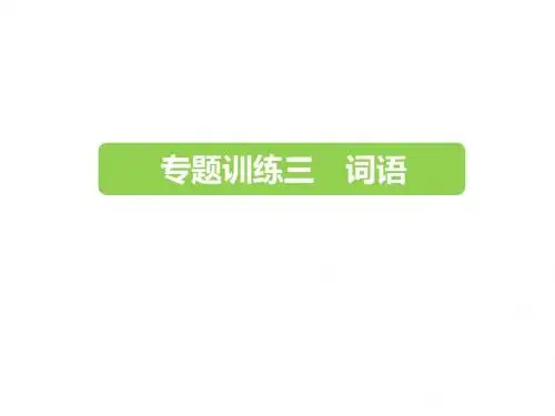 六年级下册语文课件-2019小升初-专题训练三 词语 全国通用 (共23张PPT)(图片版)