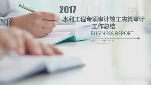 水利工程专项审计竣工决算审计工作总结述职汇报模板【精选】