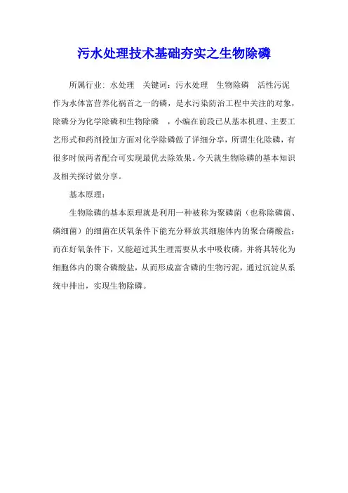 污水处理技术基础夯实之生物除磷