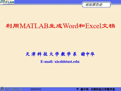 MATLAB生成Word和Excel文档-PPT精选文档