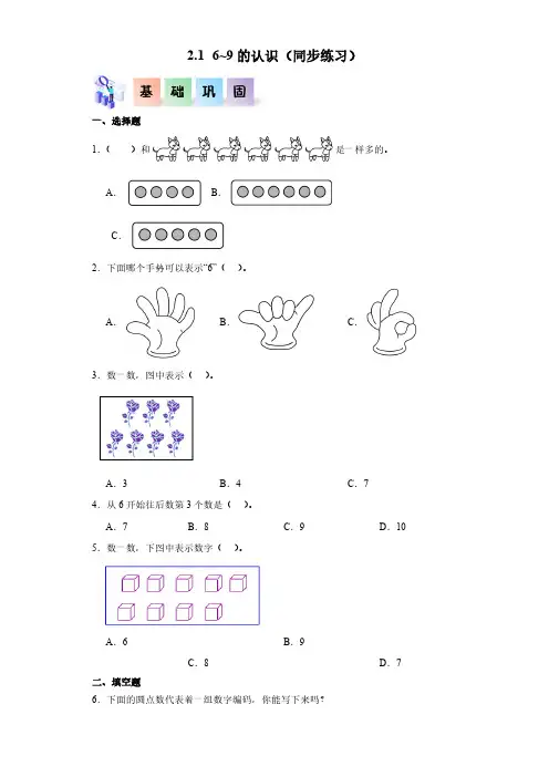  6~9的认识(同步练习 含答案)-(2024版新教材)一年级数学上册同步分层作业系列(人教版)