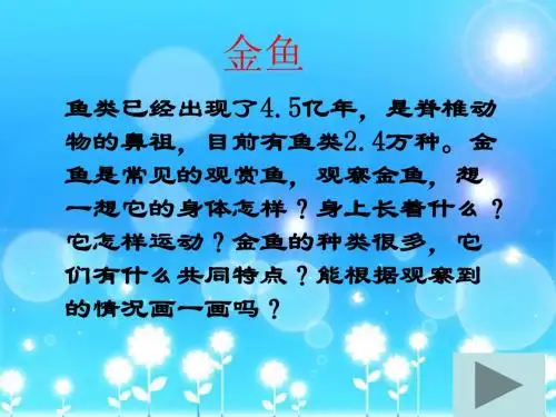 教科版科学三上《金鱼》PPT课件