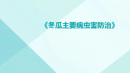 冬瓜主要病虫害防治
