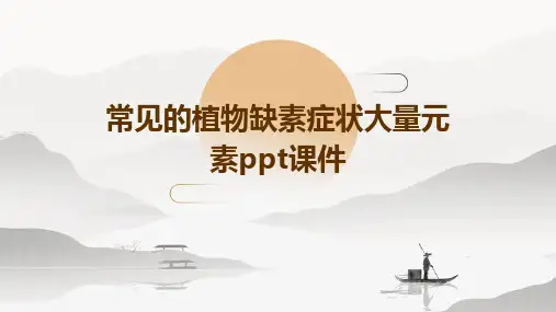 常见的植物缺素症状大量元素PPT课件
