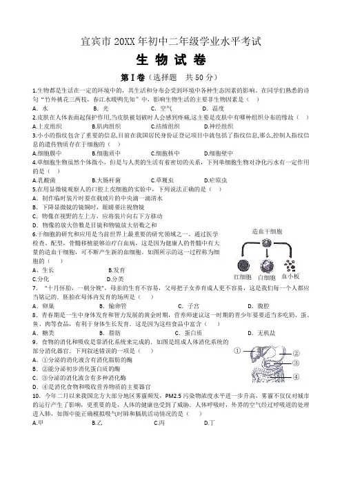 宜宾市20XX年初中二年级学业水平考试