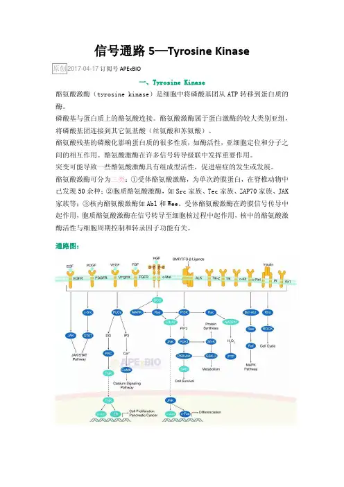 信号通路5—Tyrosine Kinase