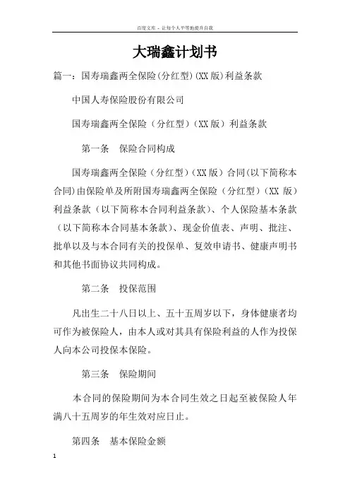 大瑞鑫计划书