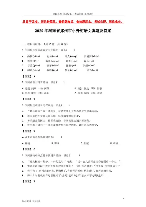 2020年河南省郑州市小升初语文真题及答案-完整版