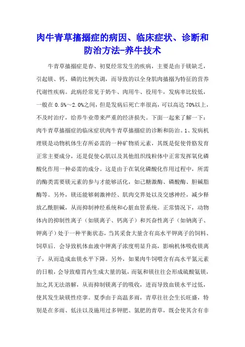 肉牛青草搐搦症的病因、临床症状、诊断和防治方法 - 养牛技术