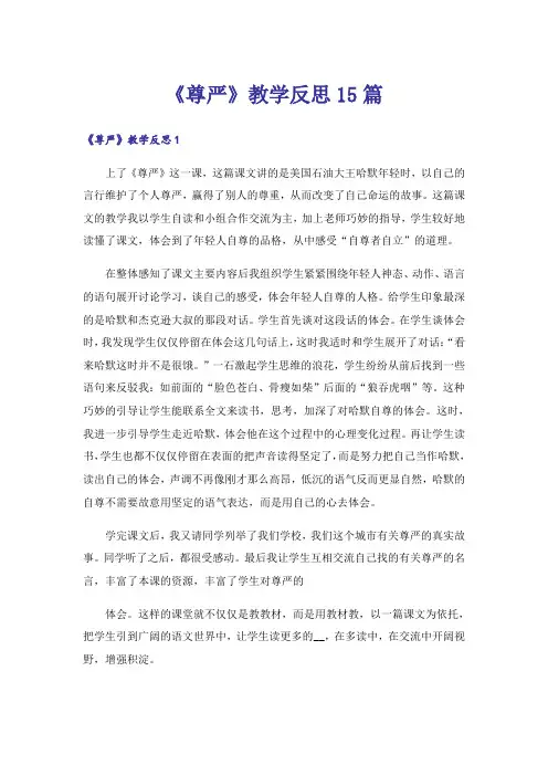 《尊严》教学反思15篇
