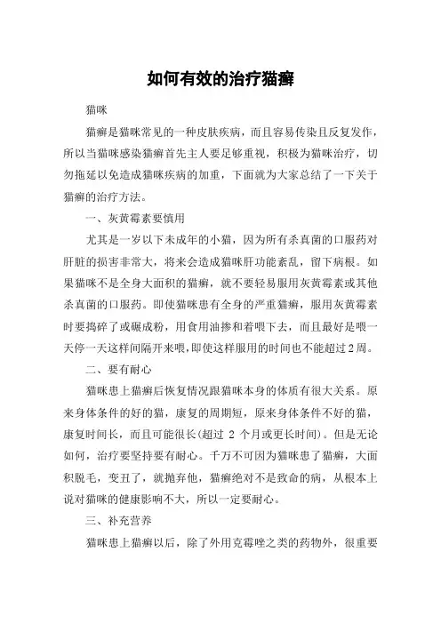 如何有效的治疗猫癣