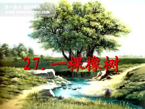 小学四年级语文《一棵橡树》ppt课件