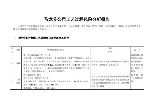 工艺过程风险分析