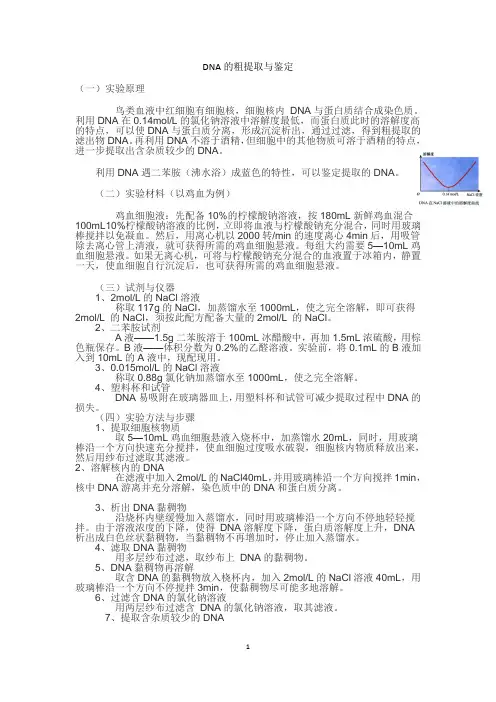 DNA的粗提取与鉴定