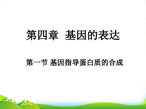 人教版高中生物必修二优秀课件：第四章第1节《基因指导蛋白质的合成》(共39张PPT)
