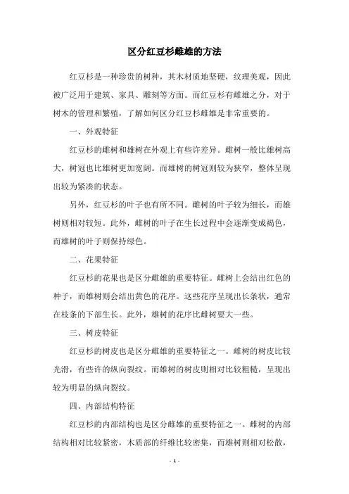 区分红豆杉雌雄的方法