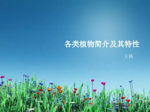 各类植物简介及其特性