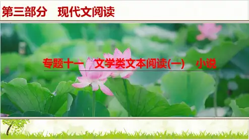 高考一轮复习语文优质课件专题 文学类文本阅读 小说ppt