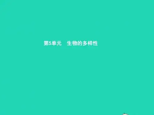 八年级生物上册 14.1 五彩缤纷的植物世界(第1课时)课