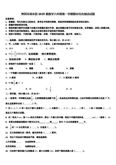 黄冈市浠水县2025届数学六年级第一学期期末综合测试试题含解析