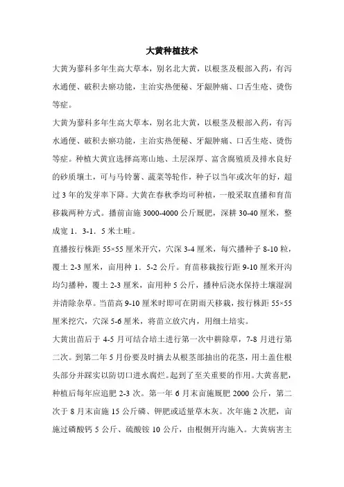 大黄种植技术
