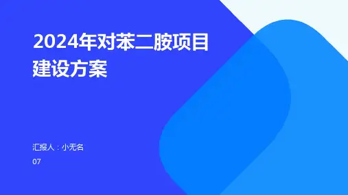 2024年对苯二胺项目建设方案