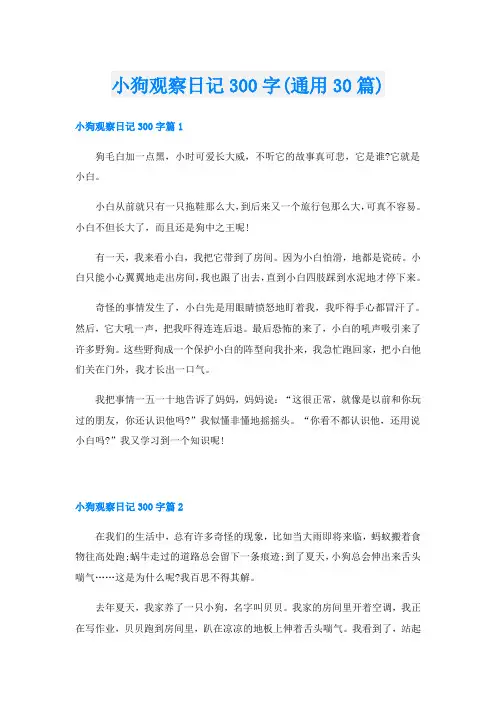 小狗观察日记300字(通用30篇)