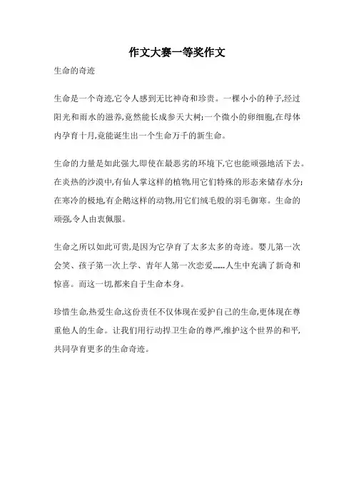 作文大赛一等奖作文