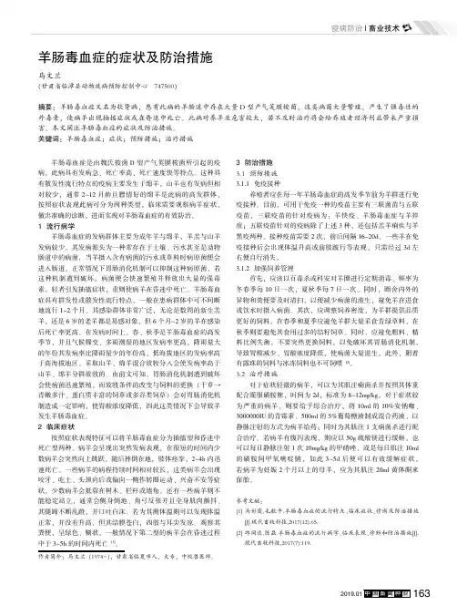 羊肠毒血症的症状及防治措施