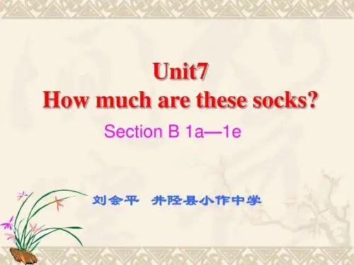 人教新目标七年级上册 Unit7 SectionB 1a-1e(共19张PPT)