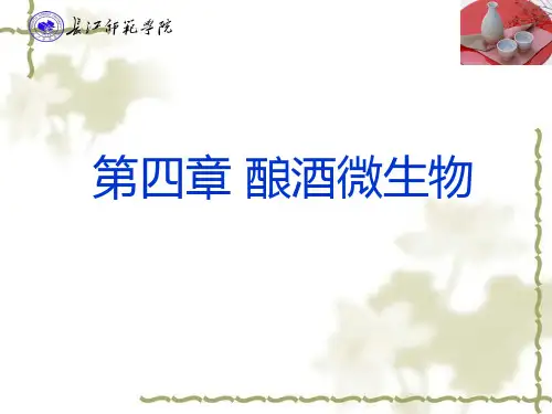 第二篇-酿酒微生物