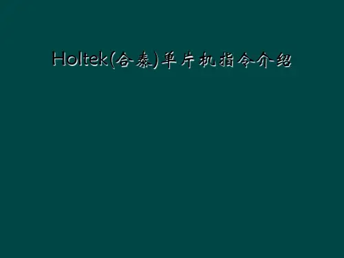 Holtek(合泰)单片机指令介绍