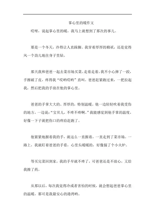 掌心里的暖作文