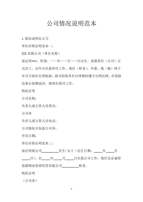 公司情况说明范本