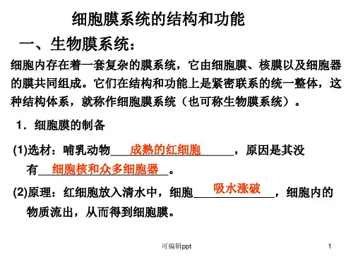 细胞膜系统的结构和功能
