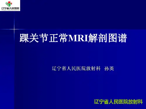 医学影像-踝关节正常MRI解剖图谱