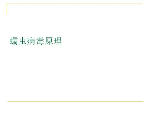 蠕虫病毒原理