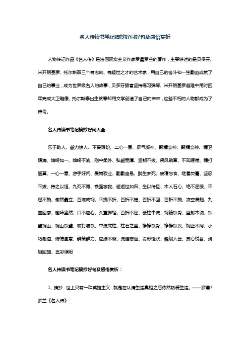 名人传读书笔记摘抄好词好句及感悟赏析