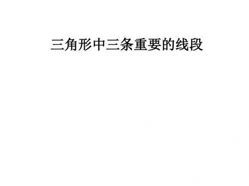 三角形中的主要线段-