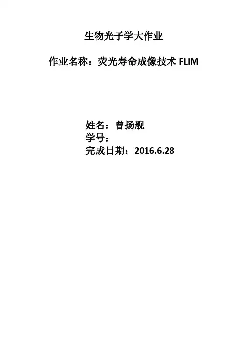 荧光寿命成像技术FLIM