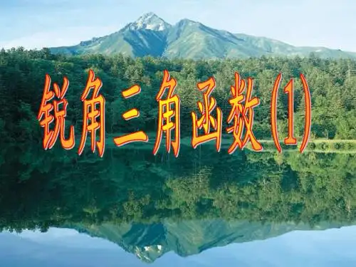 锐角三角函数(1)ppt