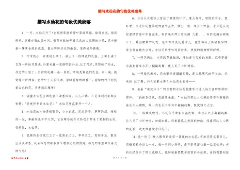 描写水仙花的句段优美段落