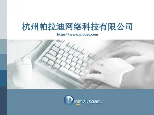 帕拉迪统一安全管理与综合审计系统解决方案