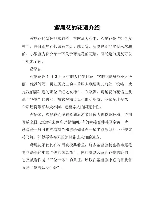 鸢尾花的花语介绍