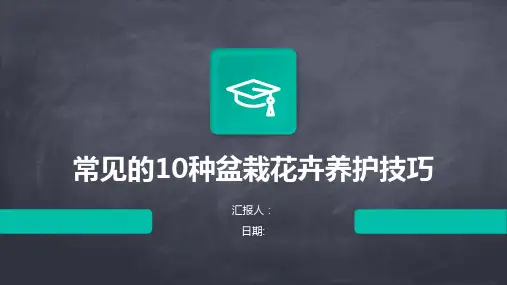 常见的10种盆栽花卉养护技巧